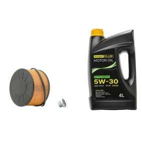 Compre Jogo de filtros com óleo de motor da RIDEX PLUS 100374T0306P a um preço baixo por 7,41 €