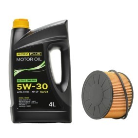Compre Kit de filtros de RIDEX PLUS online para LOGAN MCV II a preços moderados