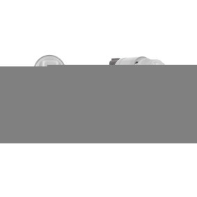 Anlasser 8080879 von ROTOVIS Automotive Electrics günstig für 199,65 € online kaufen