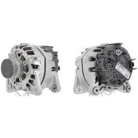 Lichtmaschine für DACIA von ROTOVIS Automotive Electrics