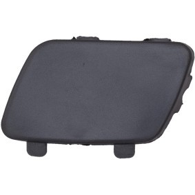 Klappe, Abschlepphaken ZUB00450 von DIEDERICHS günstig für 32,78 € online kaufen