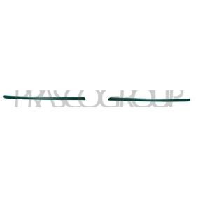 Acquista Modanatura paraurti da PRASCO AA3401244 a buon mercato per soli 22,96 €