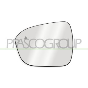 Compre Grelha de radiador da PRASCO DW0202001 a um preço baixo por 78,72 €