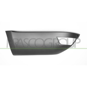 Achetez des Porte, Carrosserie PRASCO KI7323504 à prix pour 447,27 €