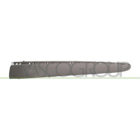 Køb Frontpanel af PRASCO MB3203210 til den lave pris 1509,34 DKK