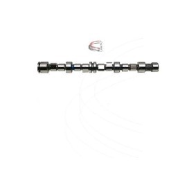 Nockenwelle CP12243 von CAMPRO günstig für 382,80 € online kaufen