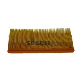 Acquista Filtro aria da COOPERSFIAAM FILTERS PA7077 a buon mercato per soli 29,01 €