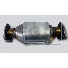 Katalysator für LOTUS von VEGAZ