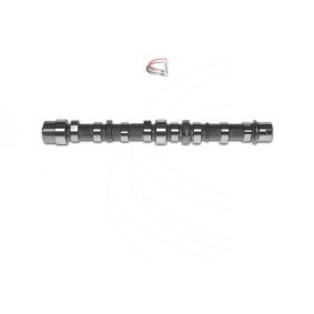 Nockenwelle CP16371 von CAMPRO günstig für 305,67 € online kaufen
