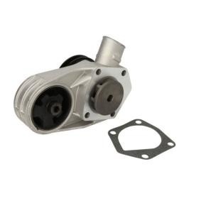Achetez des Pompe à eau THERMOTEC D1S002TT à prix pour 53,35 €