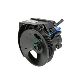 Acquista Pompa idraulica, sterzo da LAUBER 55.7904 a buon mercato per soli 156,04 €