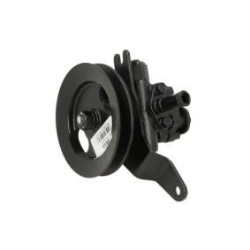 Achetez des Pompe de direction assistée de chez LAUBER en ligne pour PRIMERA Traveller (W10) à prix modérés
