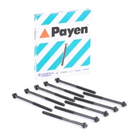 Compre Jogo de parafusos da cabeça do motor da PAYEN HBS039 a um preço baixo por 24,50 €