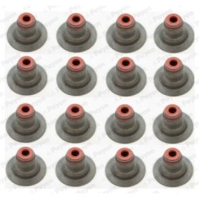 Compre Jogo de parafusos da cabeça do motor da PAYEN HBS313 a um preço baixo por 56,82 €