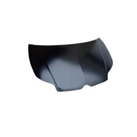 Motorhaube 23 16 03 von JOHNS günstig für 123,69 € online kaufen