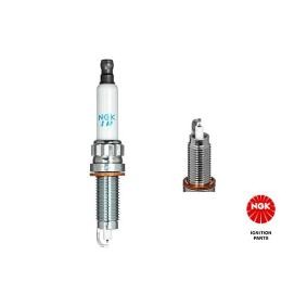 Zündkerze 1555 von NGK günstig für 19,37 € online kaufen