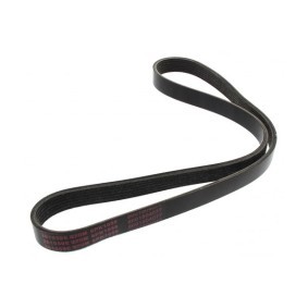 Keilrippenriemen 261059E von MAPCO günstig für 15,39 € online kaufen