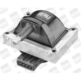 Lichtmaschinenregler GER100 von BERU günstig für 112,86 € online kaufen