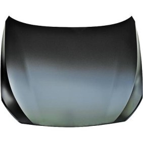 Motorhaube 1225600 von DIEDERICHS günstig für 592,45 € online kaufen