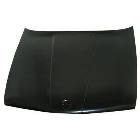 Motorhaube 1211000 von DIEDERICHS günstig für 412,06 € online kaufen