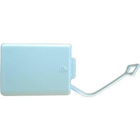 Klappe, Abschlepphaken 1615053 von DIEDERICHS günstig für 17,75 € online kaufen