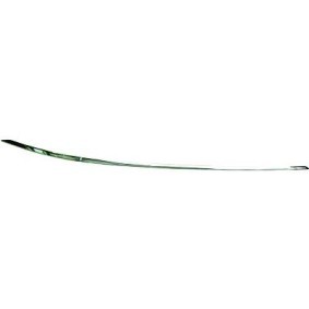 Zierleiste, Stoßstange 1616063 von DIEDERICHS günstig für 21,87 € online kaufen
