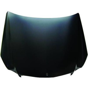 Motorhaube 1616001 von DIEDERICHS günstig für 570,44 € online kaufen