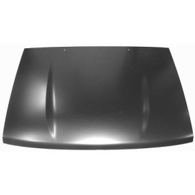 Motorhaube für TOYOTA von DIEDERICHS