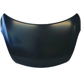 Motorhaube 6415000 von DIEDERICHS günstig für 140,47 € online kaufen