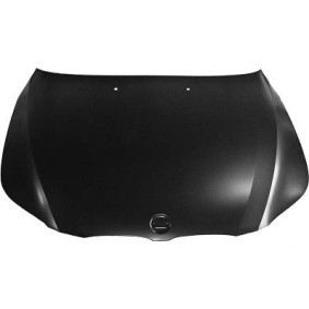 Motorhaube 1224001 von DIEDERICHS günstig für 319,99 € online kaufen