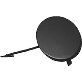 Klappe, Abschlepphaken 1427066 von DIEDERICHS günstig für 16,05 € online kaufen