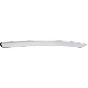 Zierleiste, Stoßstange 6522863 von DIEDERICHS günstig für 43,22 € online kaufen