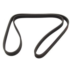 Keilrippenriemen 261841D von MAPCO günstig für 30,27 € online kaufen