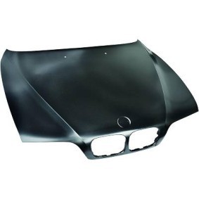 Motorhaube 1223000 von DIEDERICHS günstig für 300,02 € online kaufen