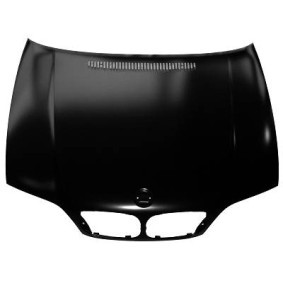 Motorhaube 1215100 von DIEDERICHS günstig für 357,01 € online kaufen