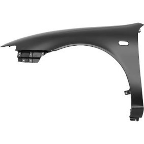 Acquista Parafango da DIEDERICHS 7431007 a buon mercato per soli 200,85 €