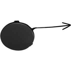Klappe, Abschlepphaken 1417061 von DIEDERICHS günstig für 17,26 € online kaufen