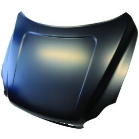 Motorhaube 7685000 von DIEDERICHS günstig für 495,06 € online kaufen