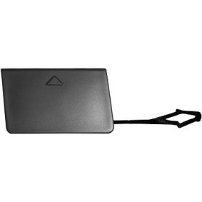 Klappe, Abschlepphaken 1280062 von DIEDERICHS günstig für 17,95 € online kaufen