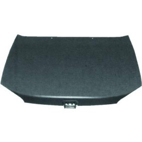Motorhaube 4210100 von DIEDERICHS günstig für 177,82 € online kaufen