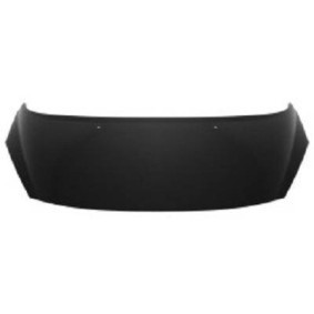 Motorhaube 4226000 von DIEDERICHS günstig für 148,50 € online kaufen