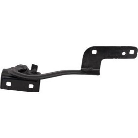 Achetez des Charnière, capot-moteur DIEDERICHS 4405019 à prix pour 94,23 €