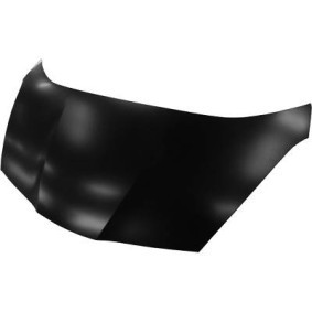 Motorhaube 5241000 von DIEDERICHS günstig für 134,91 € online kaufen