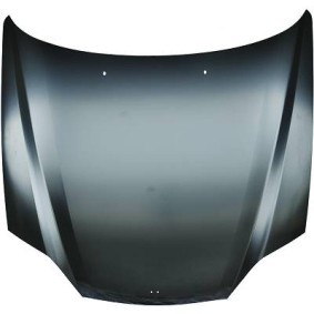 Motorhaube 6846000 von DIEDERICHS günstig für 387,27 € online kaufen