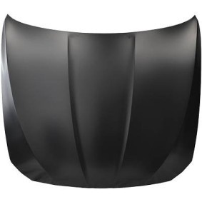Motorhaube 1225000 von DIEDERICHS günstig für 513,39 € online kaufen
