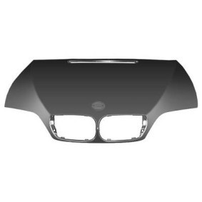 Motorhaube 1215000 von DIEDERICHS günstig für 260,03 € online kaufen