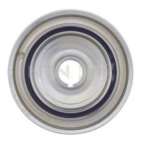 Riemenscheibe, Kurbelwelle DPF359.22 von SNR günstig für 61,57 € online kaufen