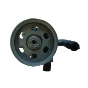 Acquista Pompa idraulica, sterzo da SPIDAN 52686 a buon mercato per soli 305,51 €