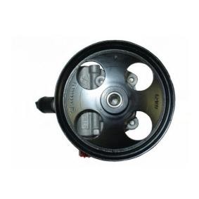 Compre Bomba de dirección de SPIDAN online para INSIGNIA A Country Tourer (G09) a precios moderados