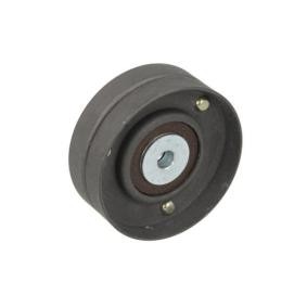 Spannrolle, Keilrippenriemen E2W6301BTA von BTA günstig für 28,83 € online kaufen